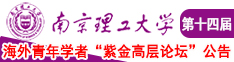 少妇出水了15P南京理工大学第十四届海外青年学者紫金论坛诚邀海内外英才！